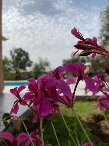 Apartamento Chalet Berb�re