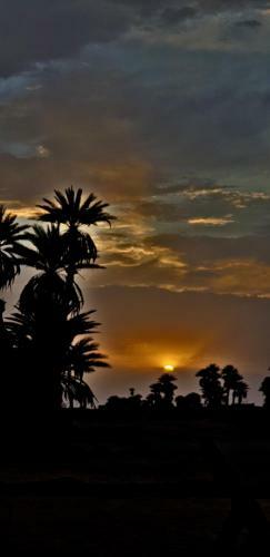 Safari Camp Tours