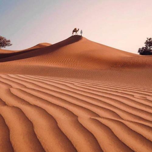 Bed & Breakfast Camp Desert Nomad Tour