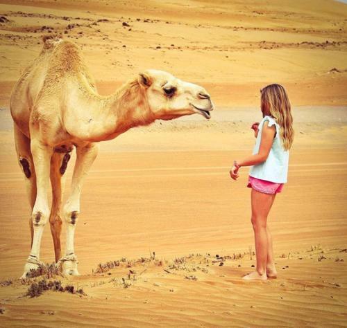 Bed & Breakfast Camp Desert Nomad Tour