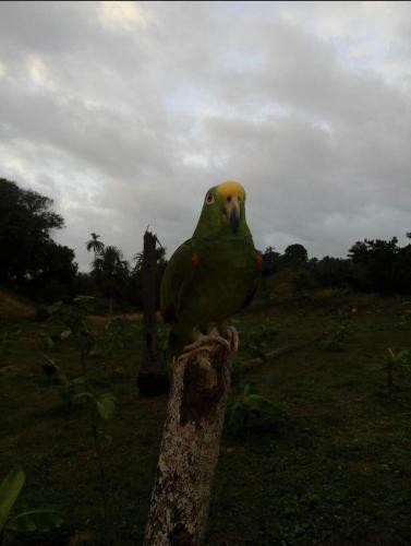 Casa Campo Rinc�n Del R�o