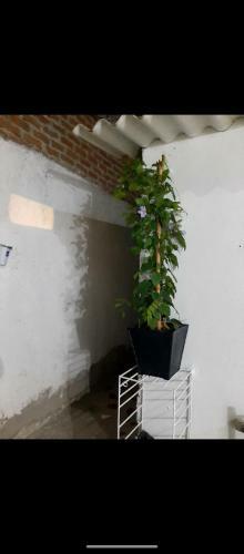 Apartamento Pescaito Beach