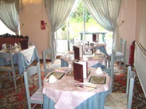 Hostal Alpha Milton Guest House