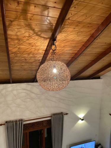 Apartment V