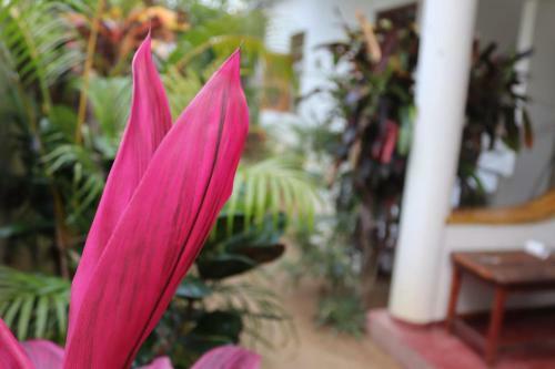 Sandy Bay Hotel Arugambay