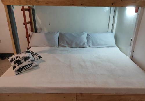 Dreamer Hostel