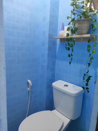 Dreamer Hostel