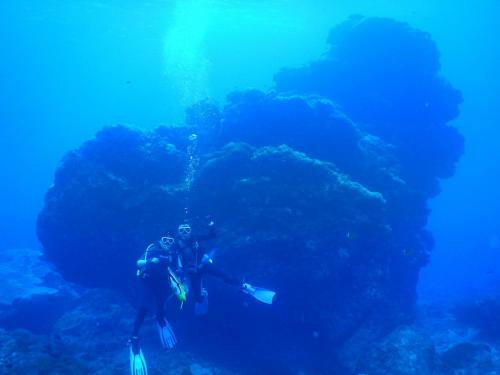 Green Island 9 Padi