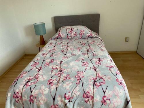 Apartamento Casa Bonita C�moda Wifi Punto Sur