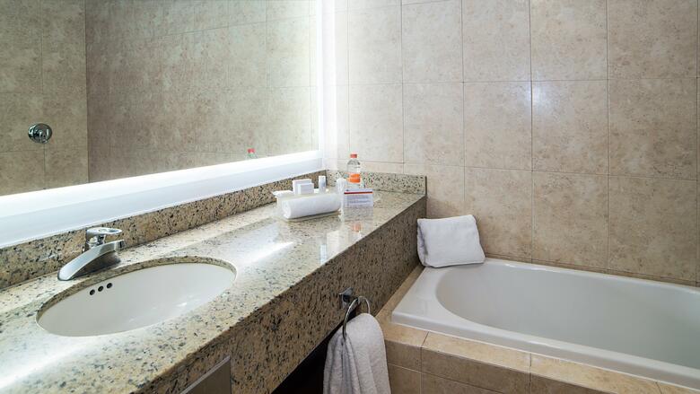 Hotel Holiday Inn Express Puebla