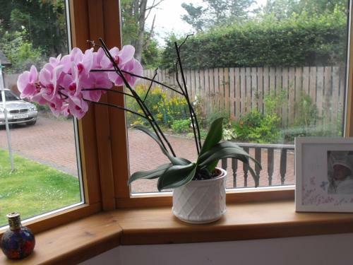 Bed & Breakfast Arisaig Guest House