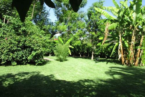 Casa De Campo Los D�lmatas