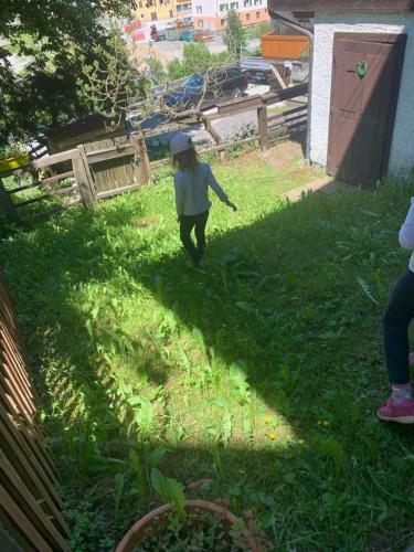 Untere Alpenh�tte In Lend