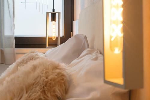 Apart Herzog - Design Apartments Leogang