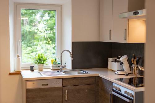 Apartamento Ledererhof Lunz Am See