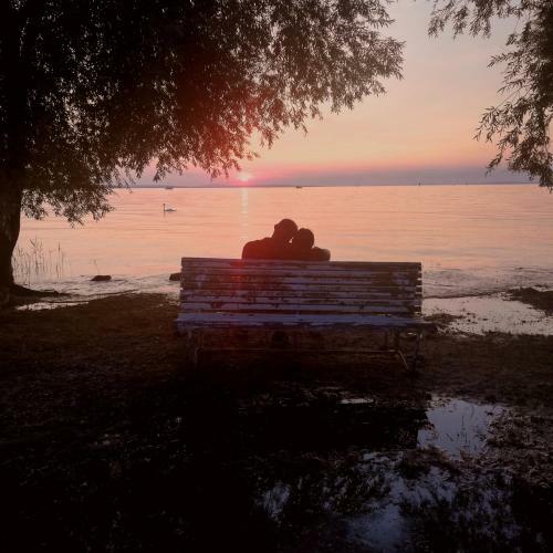 Ferienhaus H�mmerle�s