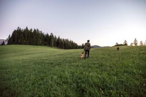 Chalet Hinterbreiteneben