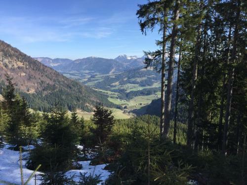 Apartamento Ferienwohnung Top 3