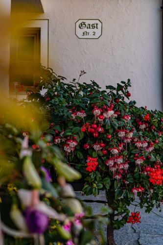 Apartamento Biobauernhof Gast