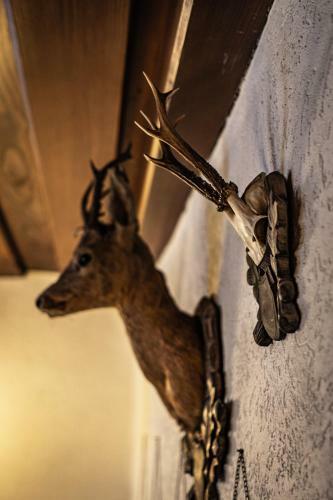Bed & Breakfast Gasthof Scherer
