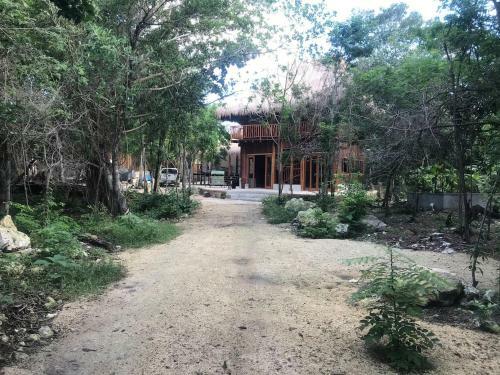 Tulum Nueve