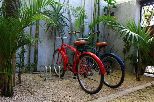 Las Mariposas Boutique Bed And Breakfast
