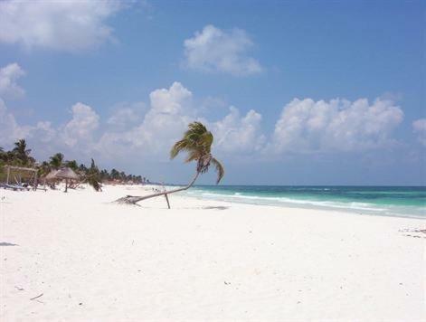 Zama Village In Beautiful Aldea Zama #tulum