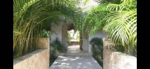 Zama Village In Beautiful Aldea Zama #tulum