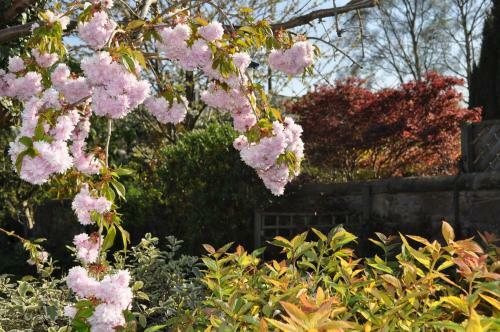 Hostal Ashdene House