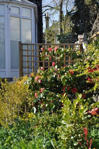 Hostal Ashdene House