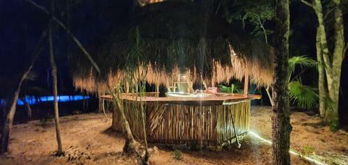 Hotel Energy Tulum Nudist Cabin Rentals