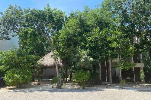 Yaxiik 19 In Aldea Zama In Tulum