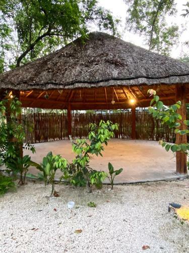 Apartamento *casa Tropical* Penthouse With Rooftop & Private Pool