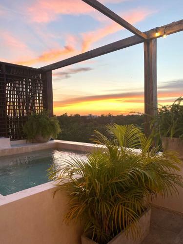 Apartamento *casa Tropical* Penthouse With Rooftop & Private Pool