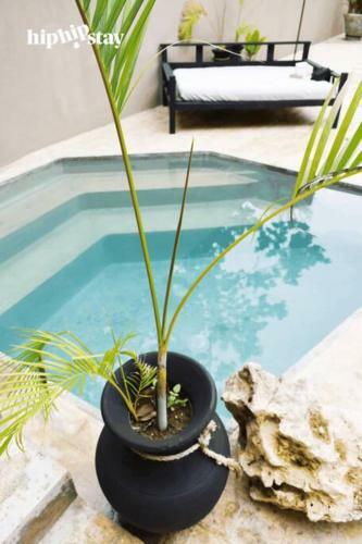 The Enrique Inglesias Villa - Hiphipstay