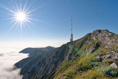 Apartment Museumsblick