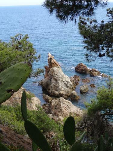 Apartamento Calella de Palafrugell Quartier Golfet R�sidence Sobremar