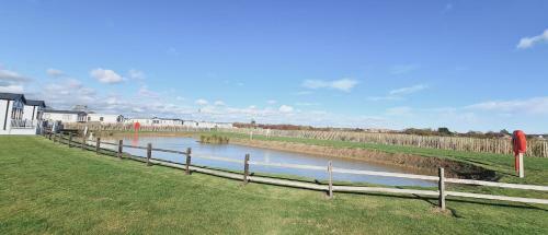 Golden Palm - Meadow Lakes