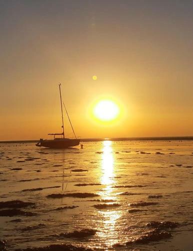 Waddenfestijn
