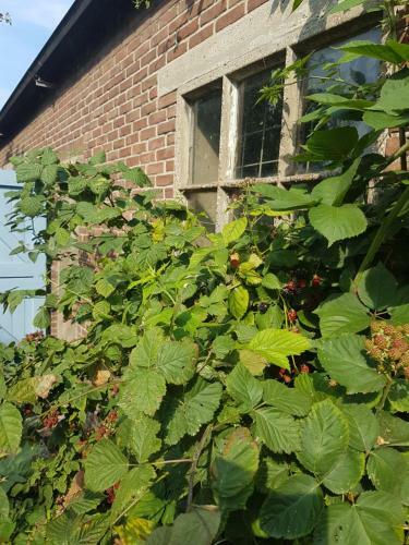 B&B Bij Boertje