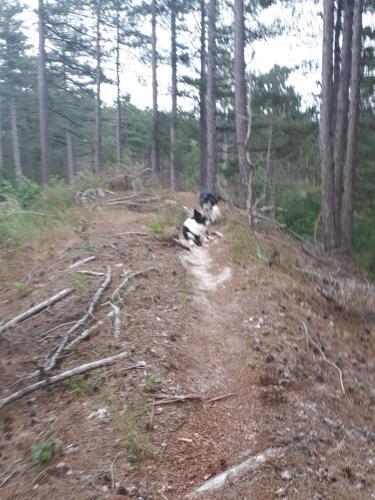 Apartamento Studio Vlak Bij Het Strand