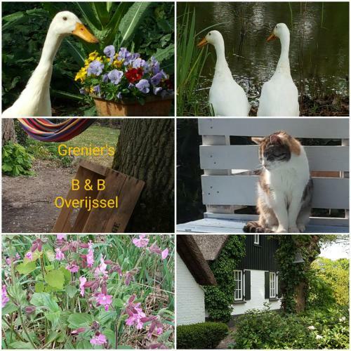 Bed & Breakfast Grenier's