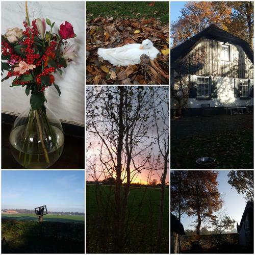 Bed & Breakfast Grenier's