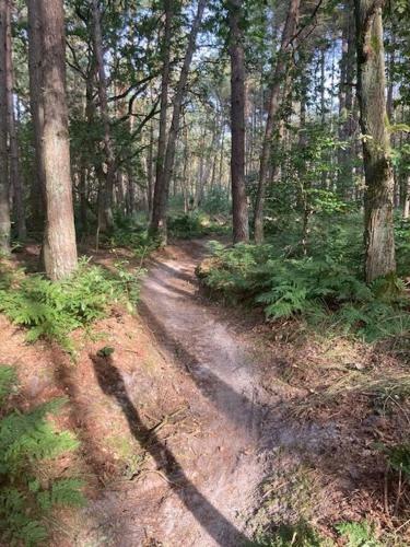 Apartamento Kom Tot Rust In The Forest