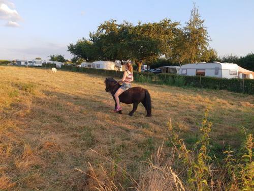 Camping La Dolce Vita