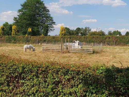 Camping La Dolce Vita