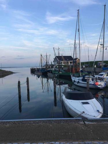 Vakantiehuisje In Ouddorp Dichtbij Het Strand