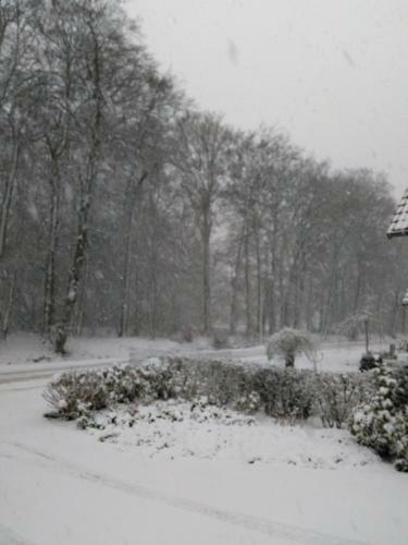 Anna's B&B Rijssen