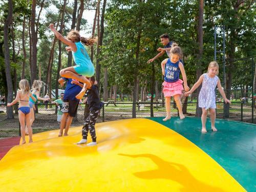 Holiday Home Oostappen Vakantiepark Arnhem-2