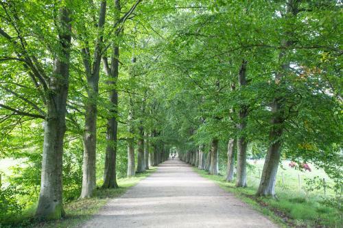 Apartamento Hoeve Kroonen